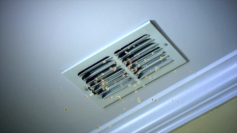 Air Duct Mold Removal in Pecan Plantation, TX